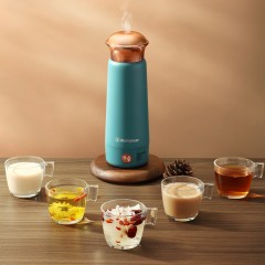 WSH-A326西屋电热水杯