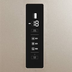 TCL 509升 风冷无霜 电脑温控 对开门冰箱 智慧出风 纤薄 BCD-509WEFA1流光金