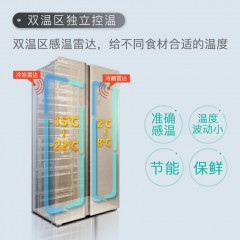 TCL 509升 风冷无霜 电脑温控 对开门冰箱 智慧出风 纤薄 BCD-509WEFA1流光金