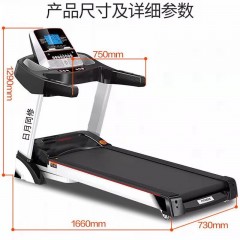 日月同修  CPPBJ02单功能5寸蓝屏免安装大跑步机(带USB音响）